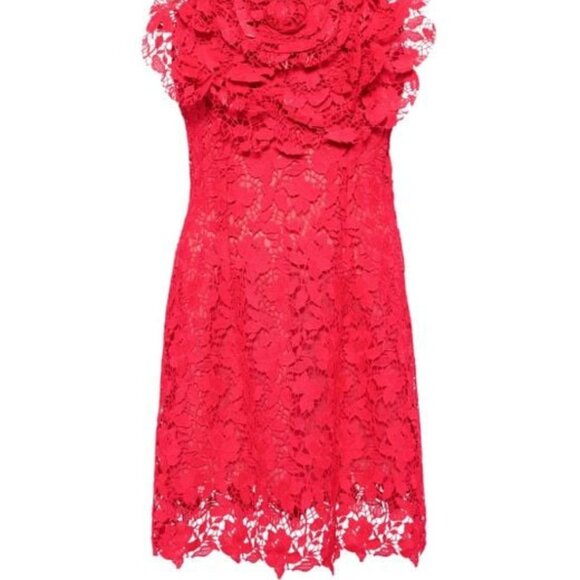 NEW OSCAR DE LA RENTA Women's Floral-Appliqué Lace Minidress in Red, Size 0 - Picture 5 of 9